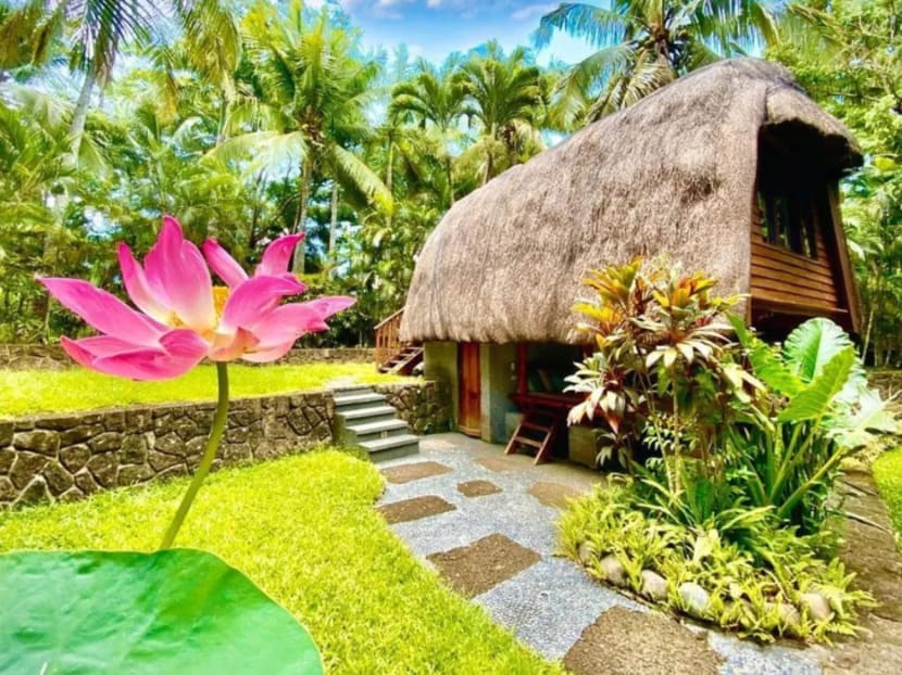 Checking in to The Farm at San Benito, a wellness resort near Manila, Philippines Checking in to The Farm at San Benito, a wellness resort near Manila, Philippines