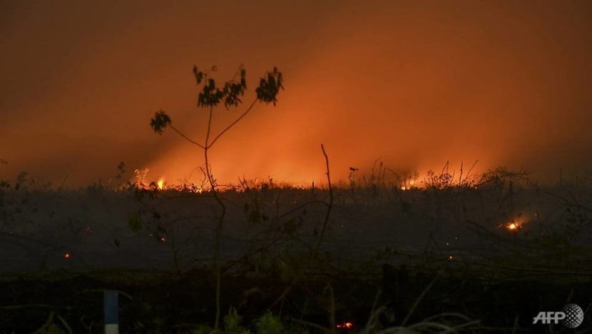 Indonesia arrests nearly 200 over raging forest fires Indonesia arrests nearly 200 over raging forest fires