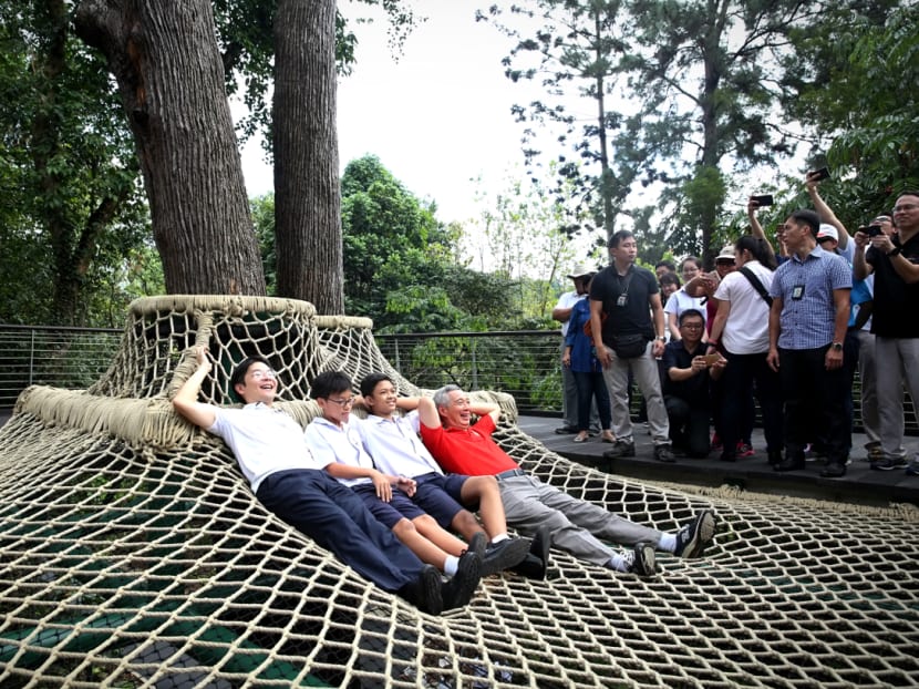 Century-old forest at Botanic Gardens opens Century-old forest at Botanic Gardens opens