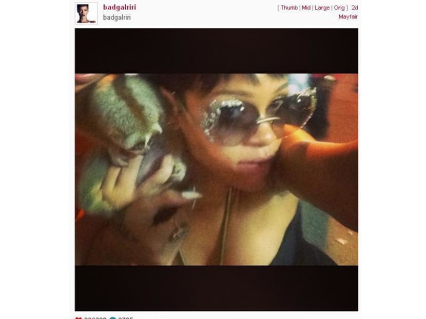 Thai police arrested two people for allegedly peddling protected primates after Rihanna posted an Instagram photo of her posing with a slow loris.