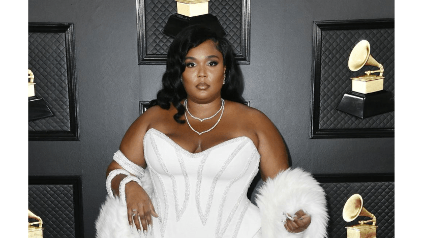 Lizzo compares her music to 'ostrich genitals' in x-rated analogy