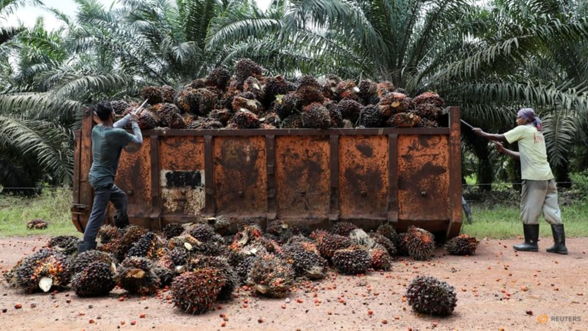 Indonesian palm oil workers to arrive in Malaysia after bureaucratic hiccups