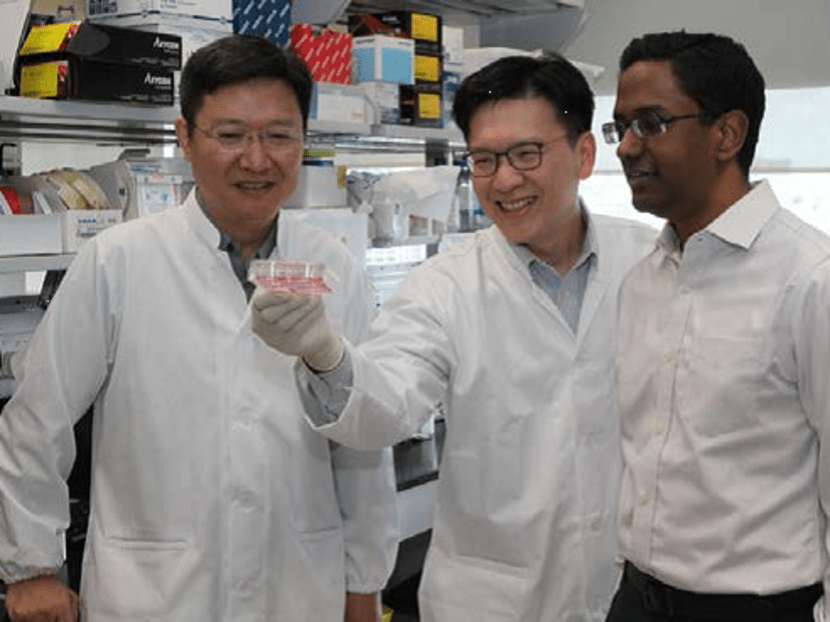 Researchers from the Institute of Bioengineering and Nanotechnology and the National Cancer Centre Singapore who discovered the approach of using patients’ stem cells to test for side effects of drugs. From left: Prof Hanry Yu, Dr Min-Han Tan and Dr Ravindran Kanesvaran. Photo: Institute of Bioengineering and Nanotechnology