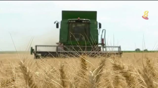 印度政府与业界人士：很快将允许约120万吨小麦出口