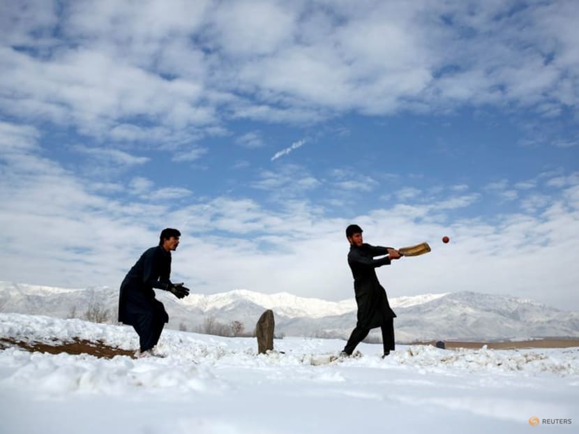 Cricket: Taliban to allow men's cricket; status of smaller women's programmes unclear Cricket: Taliban to allow men's cricket; status of smaller women's programmes unclear