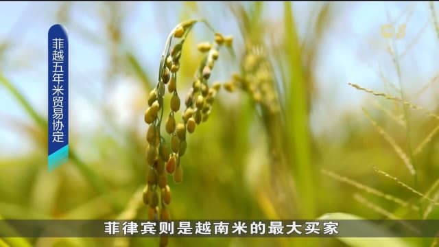 菲越即将签署五年白米贸易协定 确保米粮供应稳定