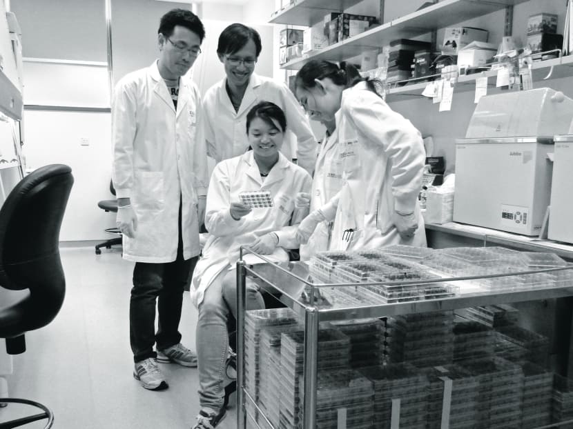 Researchers from Assoc Prof Ooi Eng Eong’s lab studying a dengue virus sample. Photo: Duke-NUS Graduate Medical School