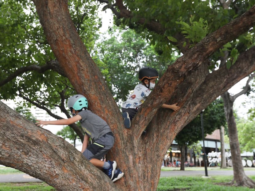 Resilience can be developed anytime, but it is better at a young age when the brain is more adaptable, says the author. Resilience can be developed anytime, but it is better at a young age when the brain is more adaptable, says the author.