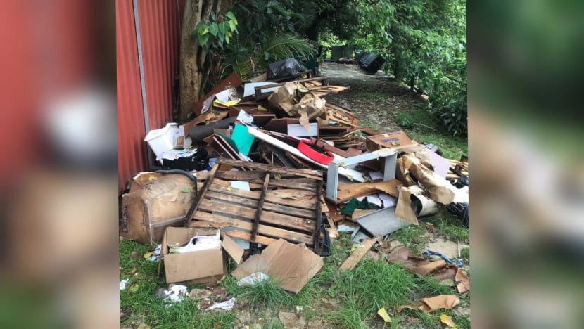 Moving company manager fined for illegally disposing of furniture, household waste