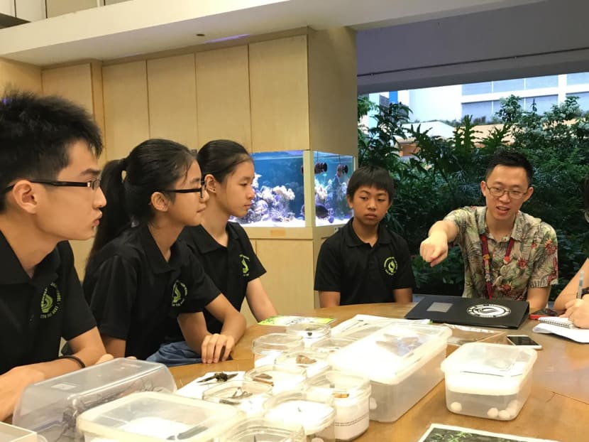 Mr Jacob Tan (second from right), a biology teacher in Commonwealth Secondary School, was one of 10 winners of the EcoFriend Awards given out by the National Environment Agency.