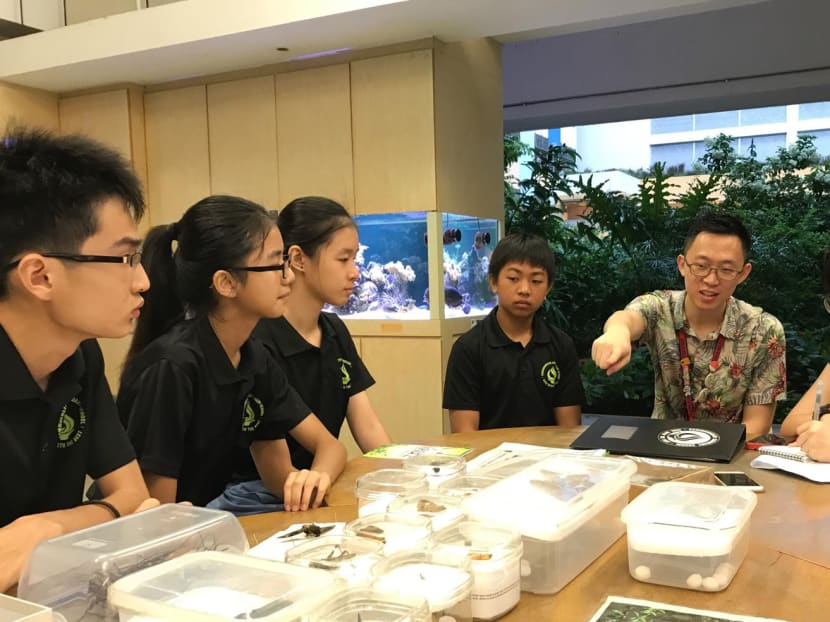 Mr Jacob Tan (second from right), a biology teacher in Commonwealth Secondary School, was one of 10 winners of the EcoFriend Awards given out by the National Environment Agency. Mr Jacob Tan (second from right), a biology teacher in Commonwealth Secondary School, was one of 10 winners of the EcoFriend Awards given out by the National Environment Agency.