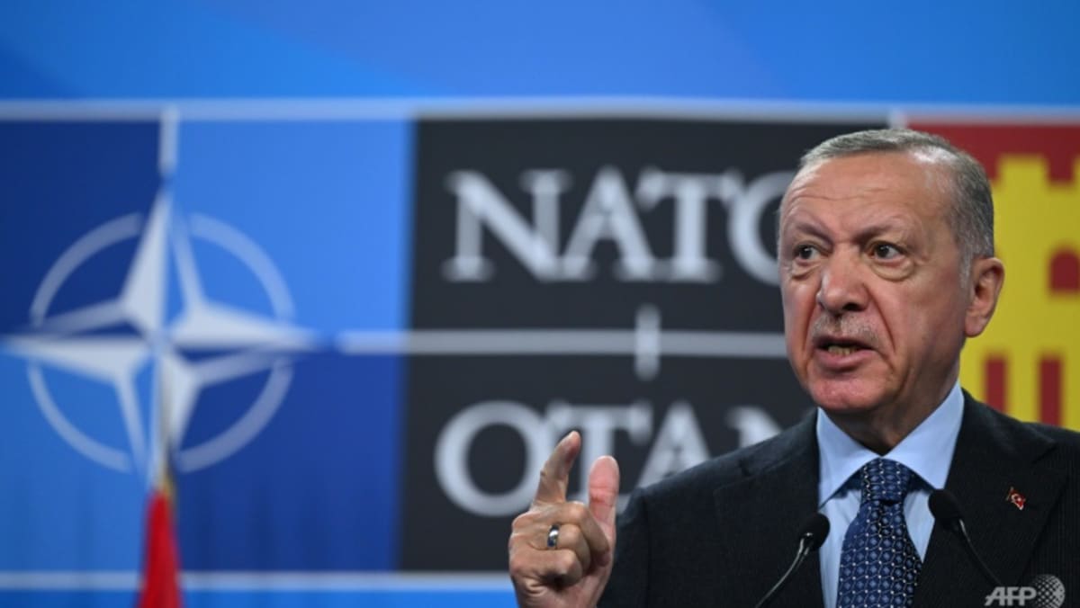 Erdogan warns Turkey may still block Nordic NATO drive