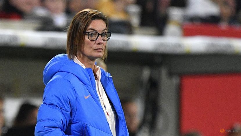 I've been subject of 'smear campaign', says France women's coach Diacre I've been subject of 'smear campaign', says France women's coach Diacre