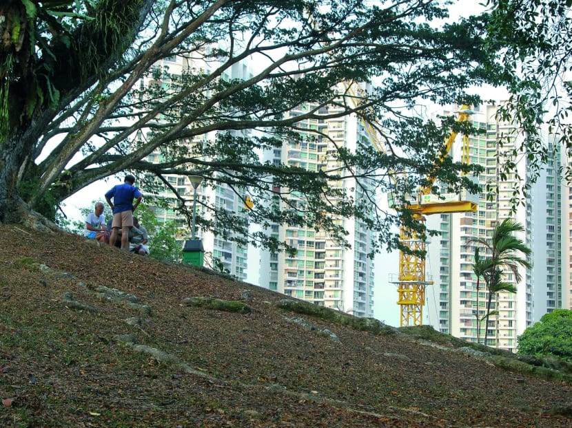 Singapore in grip of record dry spell