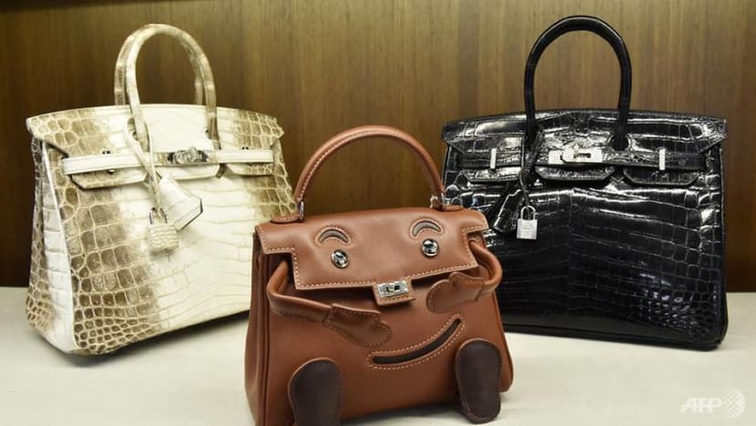 Hermes luxury 2025 bags