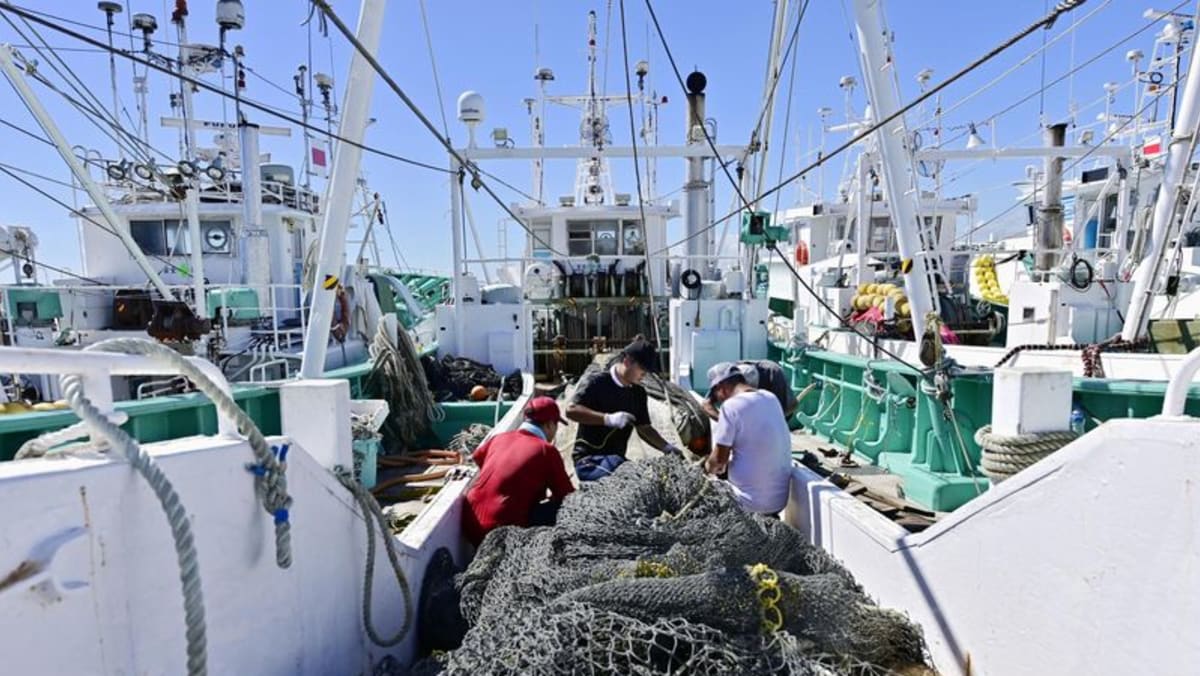 Fukushima fishermen fear backlash from consumers as nuclear plant operator prepares wastewater release Fukushima fishermen fear backlash from consumers as nuclear plant operator prepares wastewater release