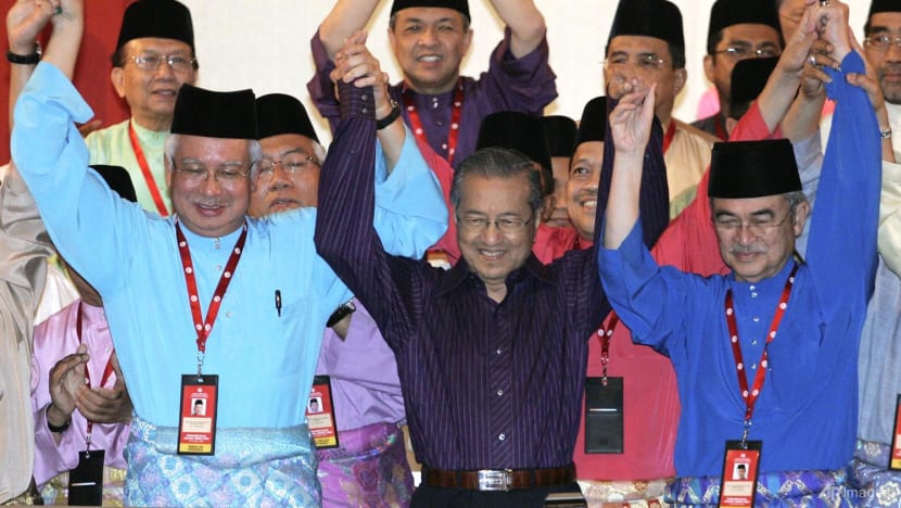 Mahathir says Najib's royal pardon 'highly likely'; electoral watchdog