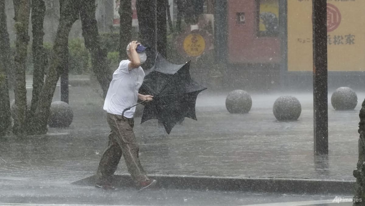 Tropical Storm Meari hammers Japan with heavy rainfall, wind