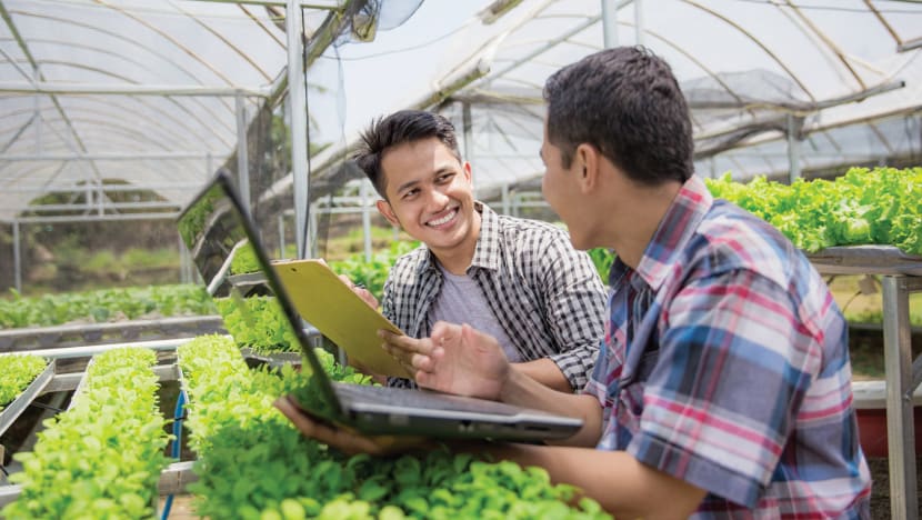 Bayer in Singapore: 50 years of science, improving lives around the region