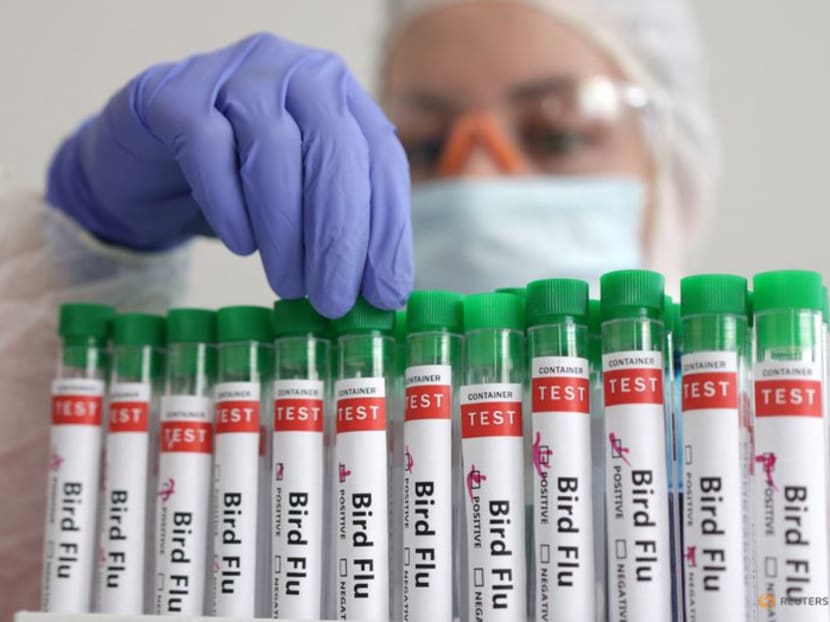 The World Health Organization has called for vigilance after the recent detection of bird flu in mammals, but has stressed that the risk to humans is low. The World Health Organization has called for vigilance after the recent detection of bird flu in mammals, but has stressed that the risk to humans is low.