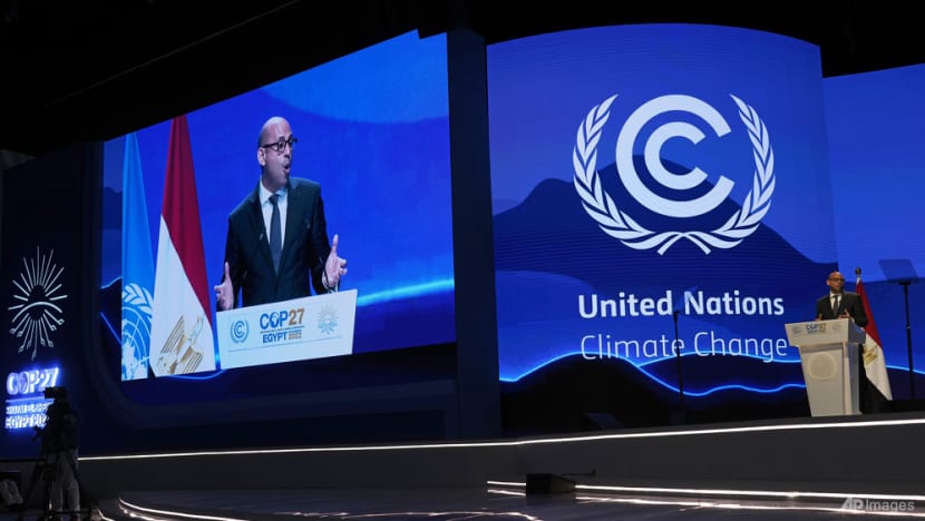 Twin crises: Experts say nature and climate cannot be siloed Twin crises: Experts say nature and climate cannot be siloed