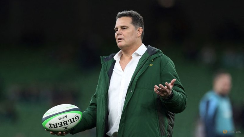 South Africa's 'eccentric genius' Erasmus continues to divide opinion