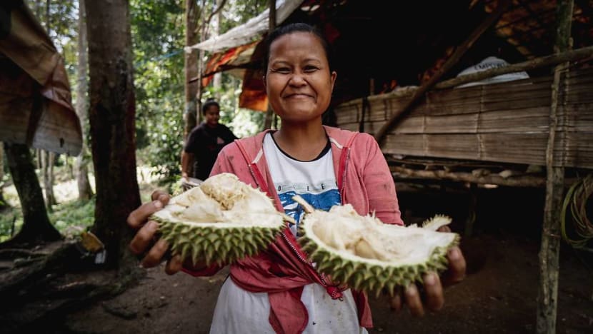 Bumi durian biji Durian Kupas