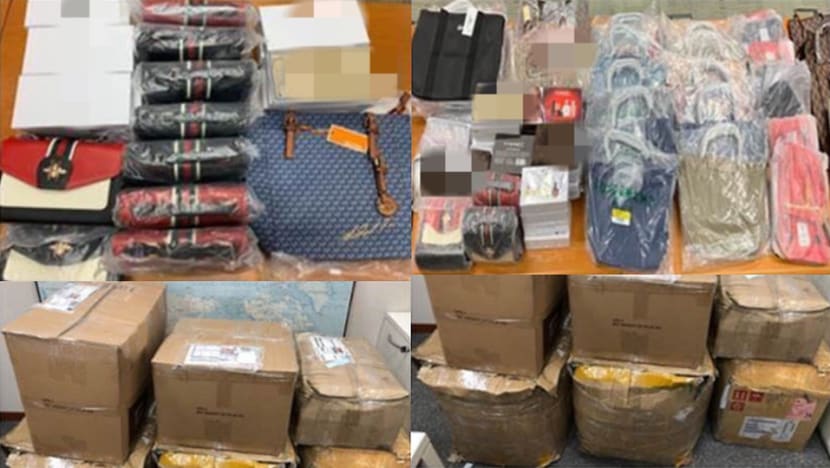 Counterfeit goods worth S$13,000 seized, woman arrested Counterfeit goods worth S$13,000 seized, woman arrested