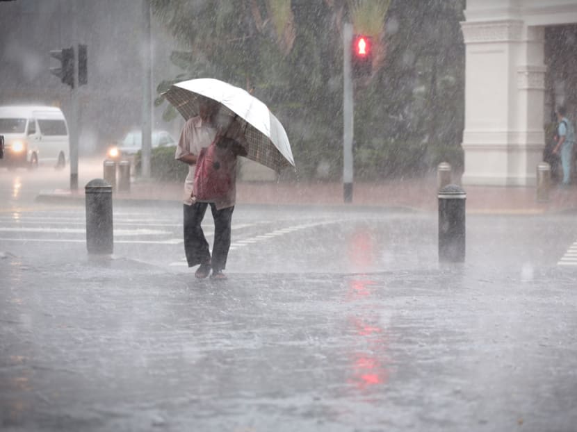 During the upcoming fortnight, afternoon thundery showers can be expected on most days, with the rain extending into the evening on a few of these days.