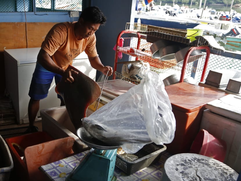 Mega projects off Johor hit fishermen livelihood