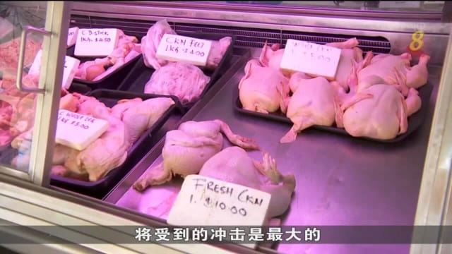 马国将禁止出口活鸡 供应商：鸡肉价或再上涨两成以上