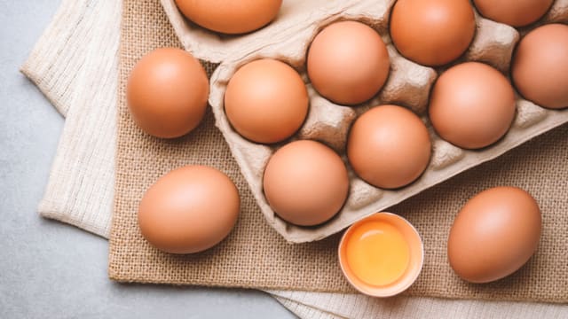 降价不能解决短缺问题 马国蛋农：鸡蛋不能再列价格统制品