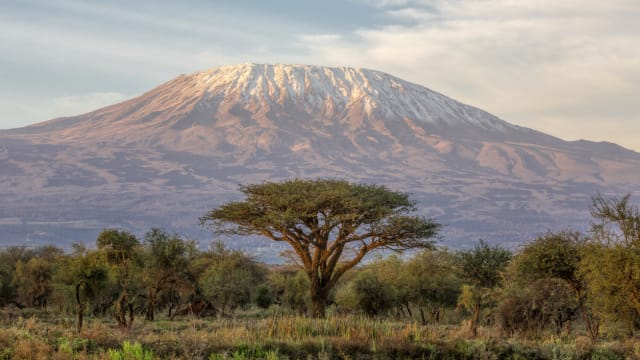 28岁狮城登山客在坦桑尼亚登非洲最高峰时去世