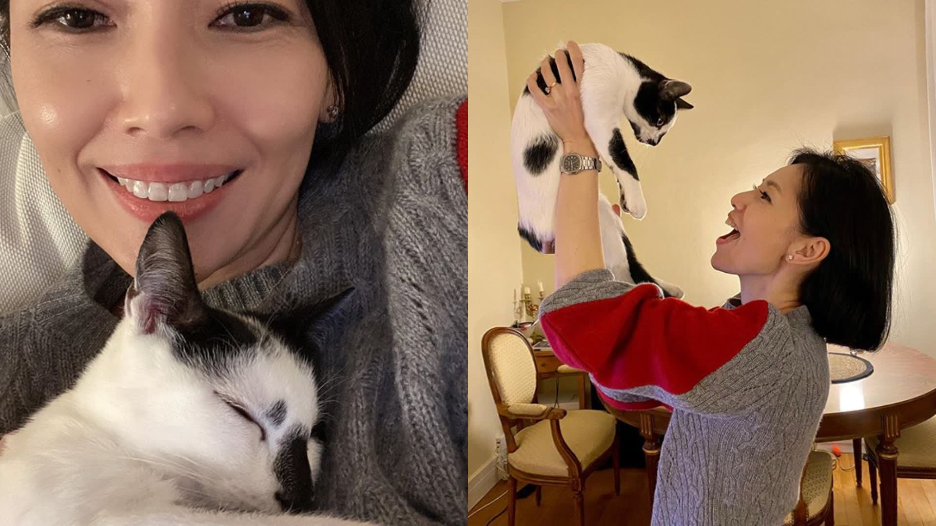 Sharon Au Could’ve Skipped London’s 14-Day Quarantine If She Left Singapore 10 Days Later… But She Wanted To See Her Cat In Paris ASAP Sharon Au Could’ve Skipped London’s 14-Day Quarantine If She Left Singapore 10 Days Later… But She Wanted To See Her Cat In Paris ASAP