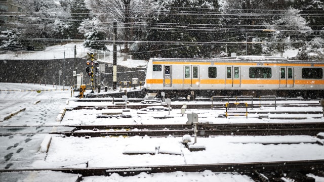 东京及附近地区降大雪 陆路航空交通大受影响