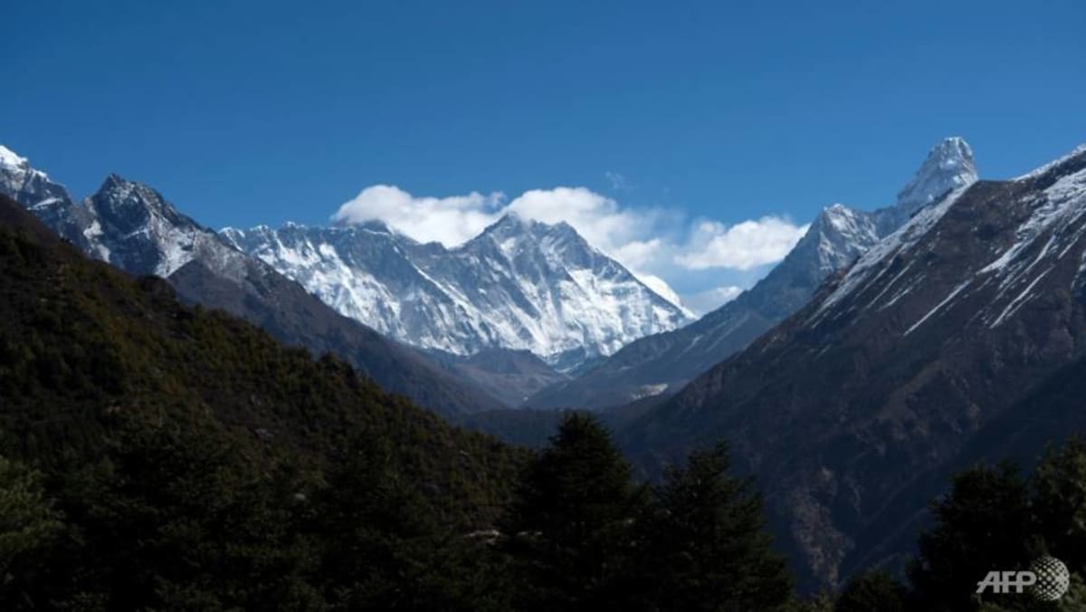 Setidaknya 100 kasus COVID-19 di Gunung Everest, kata pemandu pendakian