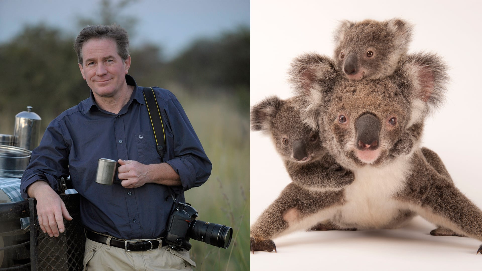 Take Paw-some Pet Photos With Tips From A Nat Geo Photographer - Or Go For His Upcoming Action-Packed Talk Take Paw-some Pet Photos With Tips From A Nat Geo Photographer - Or Go For His Upcoming Action-Packed Talk