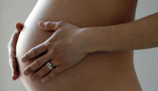 Uterus transplants allow successful pregnancies in US women: Study