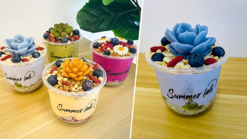 Smoothie Bowls That Look Like Adorable Potted Plants From New Shop In Chinatown
