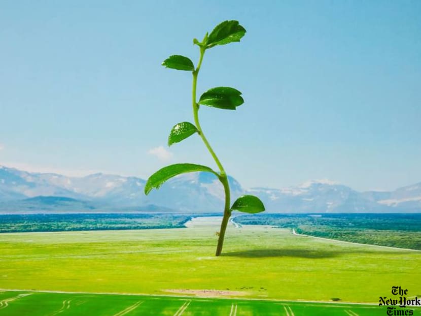 For a healthier 2021, skip the usual resolutions and keep the best habits of a very bad year For a healthier 2021, skip the usual resolutions and keep the best habits of a very bad year
