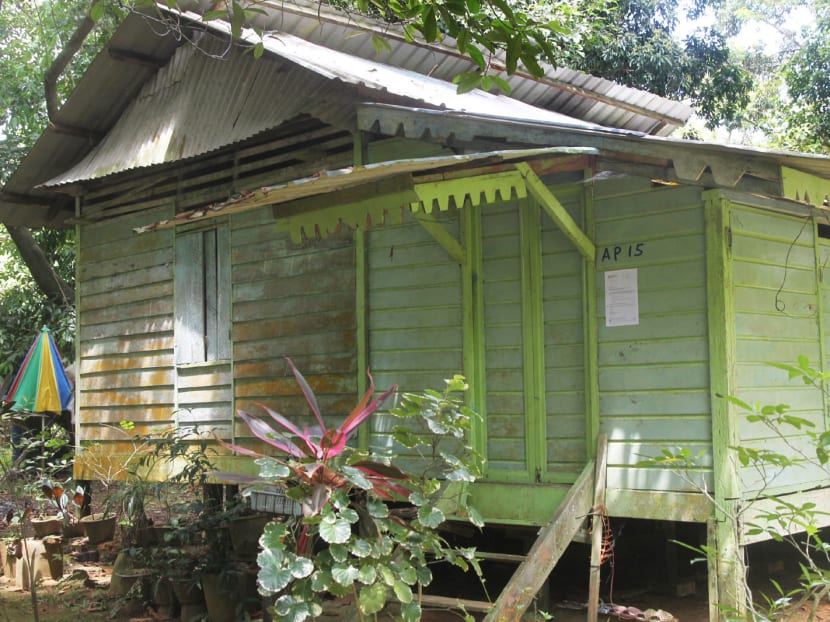 Pulau Ubin to stay rustic for ‘as long as possible’