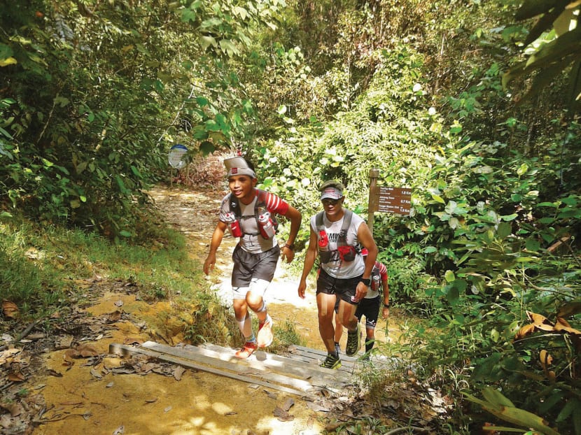 Trail runners at MacRitchie Reservoir. TODAY file photo