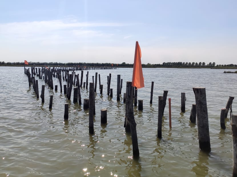 A picture taken on July 22, 2020 shows the Venetian lagoon, site of a new project dubbed "Life Lagoon Refresh", that aims to restore its environment by increasing fresh water input, near Venice.