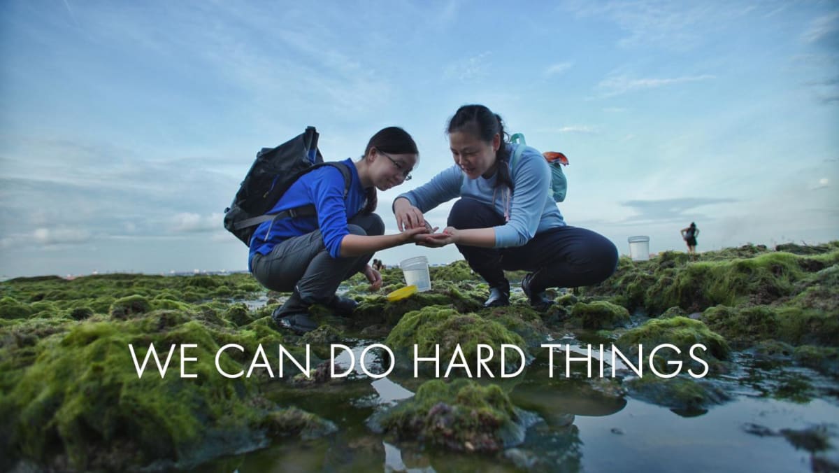 We Can Do Hard Things Song Tish Lyrics We Can Do Hard Things - CNA