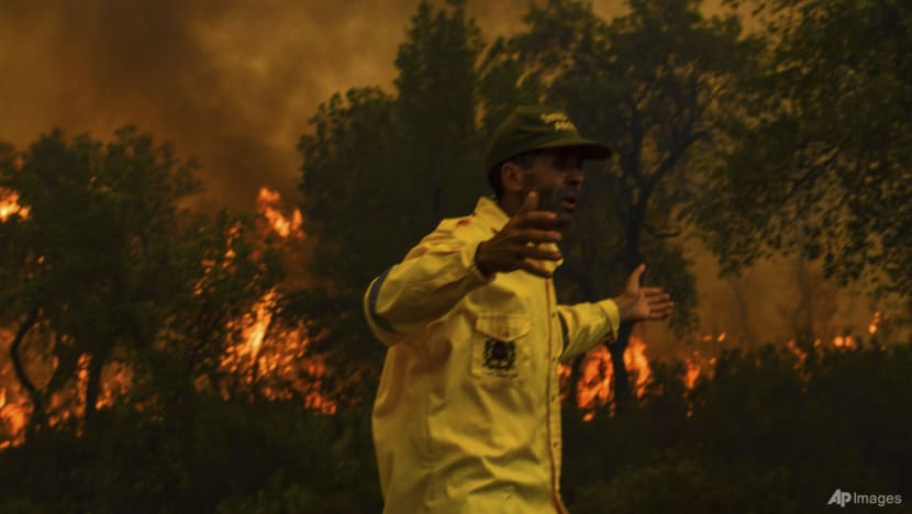 Morocco steps up efforts to contain forest fires sweeping across north Morocco steps up efforts to contain forest fires sweeping across north