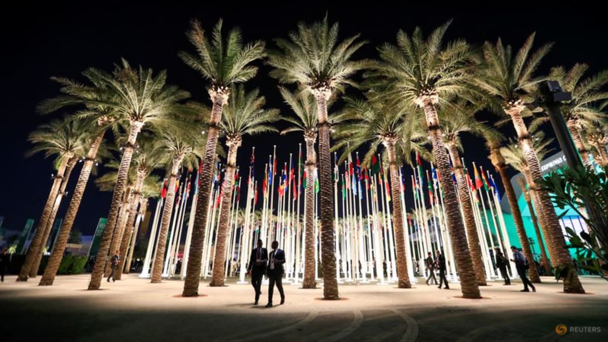 COP28 focus on health draws 7 million to fight tropical disease