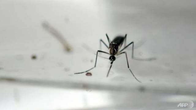 本地兹卡病例增至15起 11起在高文感染群