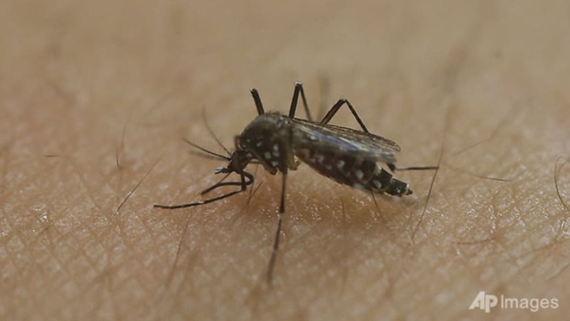 Sarjan tentera didakwa biak nyamuk Aedes di rumahnya