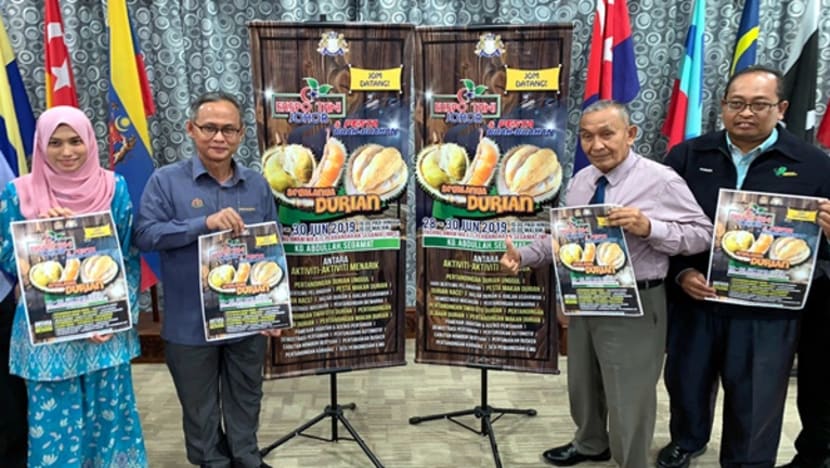 Setelah jenis Durian Hajah Hasmah, durian jenis apa lagi yang mahu Johor keluarkan?