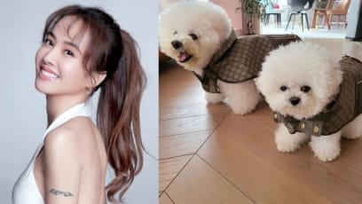 Jolin Tsai Dresses Her Dogs In Gucci Outfits That Cost More Than Regular Human Clothes